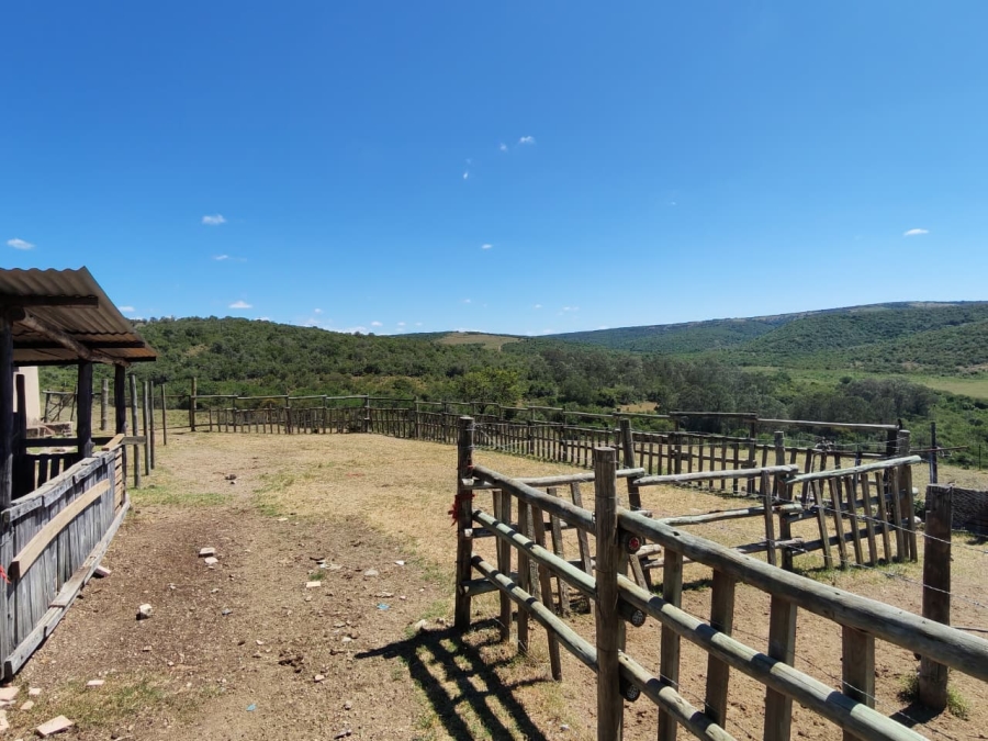 Commercial Property for Sale in Komga Rural Eastern Cape